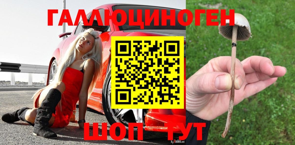 Псилоцибиновые грибы прущие грибы  Вход с VPN  Галлюциногенные грибы мицелий  Комсомольск-на-Амуре 